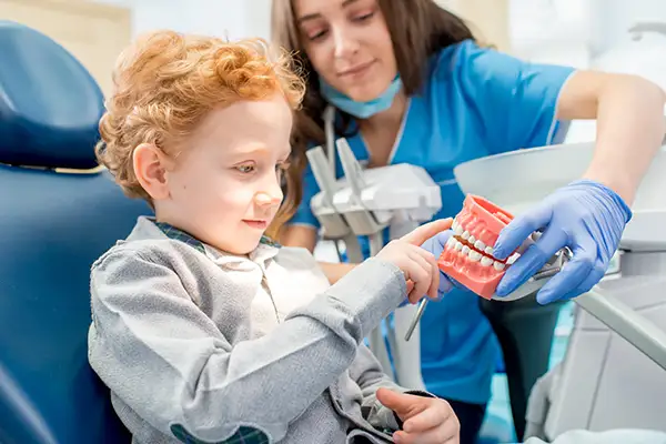 A pediatric dentist uses a mouth model to connect with and teach her young patient about the importance of oral hygiene and dentistry.